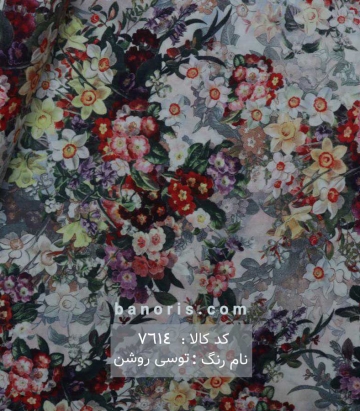 نخی(کودری)