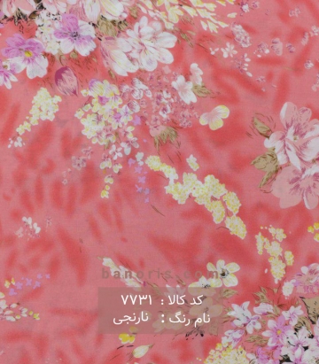 نخی(کودری)