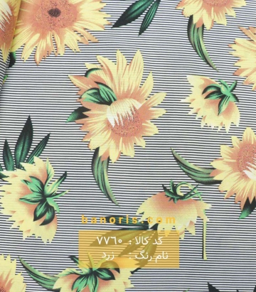 نخی(کودری)