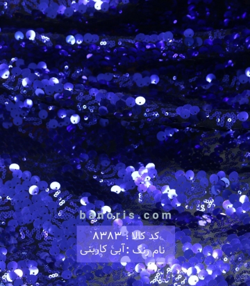 پولکی سکه ای