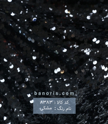 پولکی سکه ای