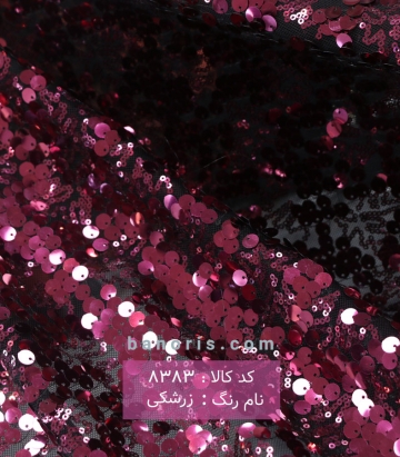 پولکی سکه ای