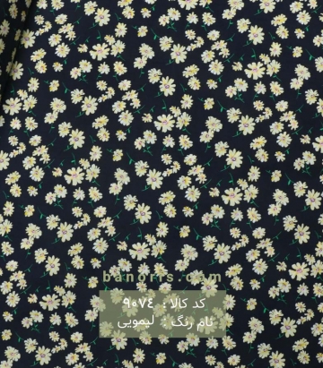 نخی