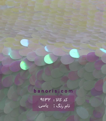 تورپولکی (هولوگرامی)