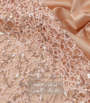 دانتل تار عنکبوتی