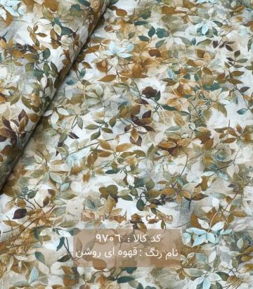نخی (کودری)