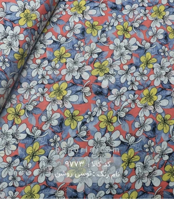 نخی(کودری)