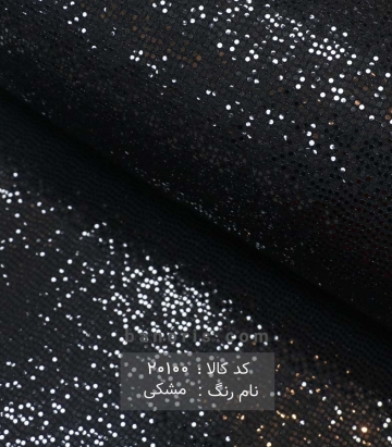 ریون هولوگرامی
