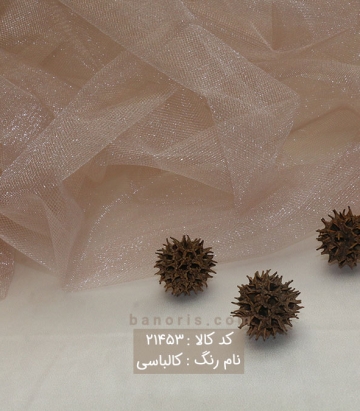 تور خشک