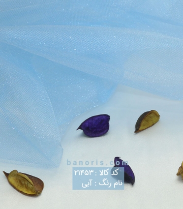 تور خشک