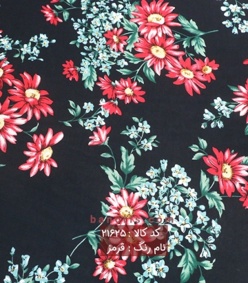 نخی کره ای