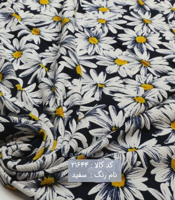 ریون گچی