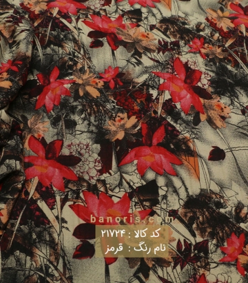 نخی