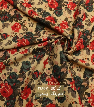 نخی