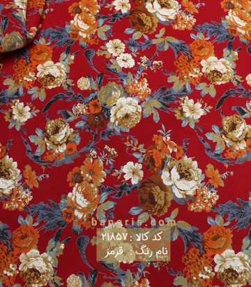 نخی