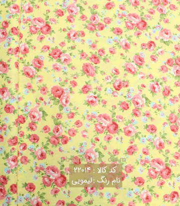 پوپلین