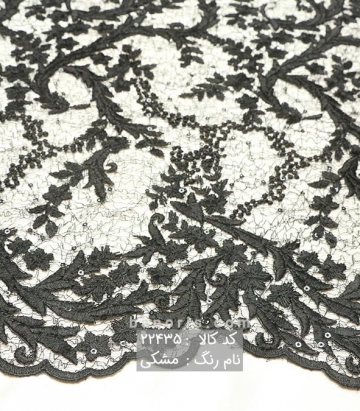 گیپور اسپایدر