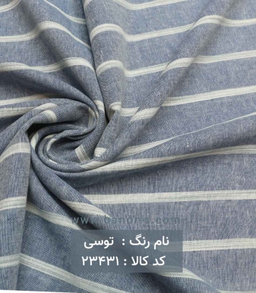 مانتویی لنین