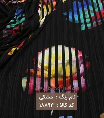 ریون پلیسه