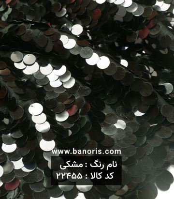 تور پولکی سکه ای