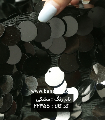 تور پولکی سکه ای