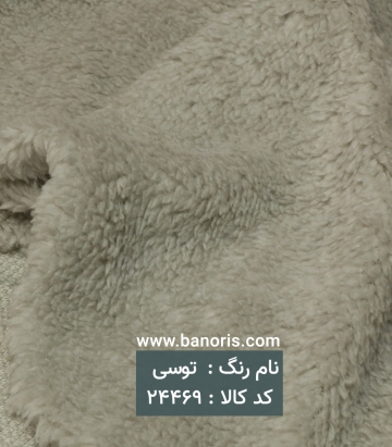خز تدی