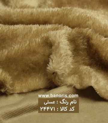 خز تدی