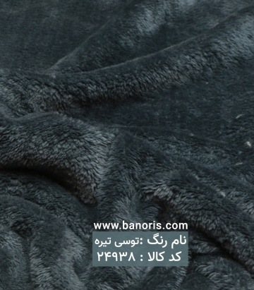 خز تدی