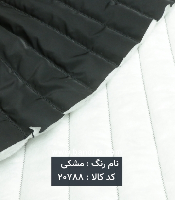 کاپشنی