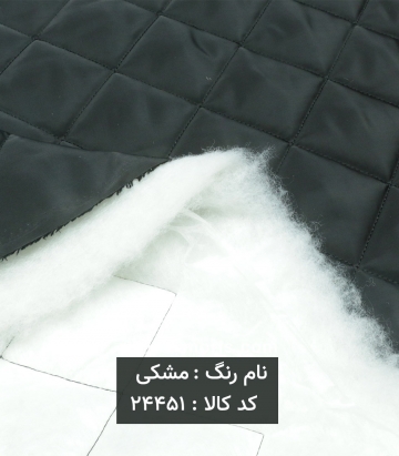 کاپشنی