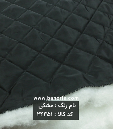 کاپشنی