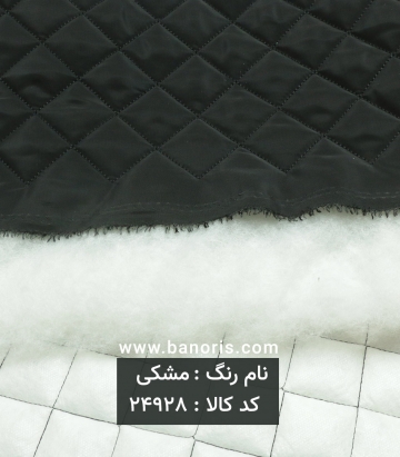 کاپشنی