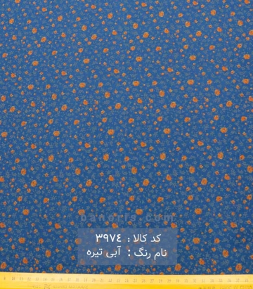نخی (کودری)