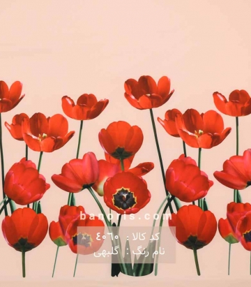 مانتویی حاشیه گلدار