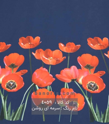مانتویی حاشیه گلدار