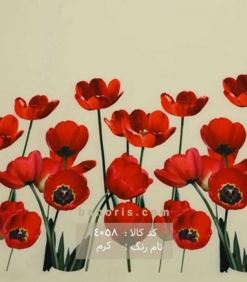 مانتویی حاشیه گلدار