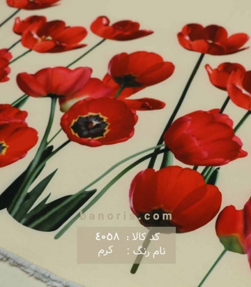 مانتویی حاشیه گلدار