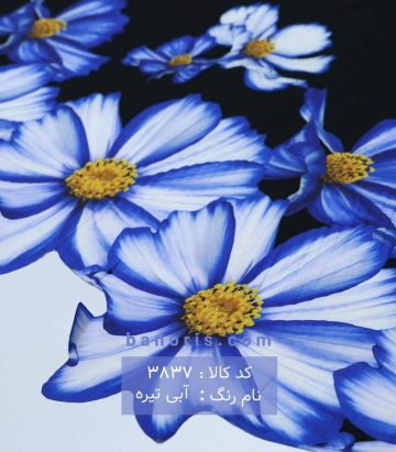 مانتویی حاشیه دار لیزر کات
