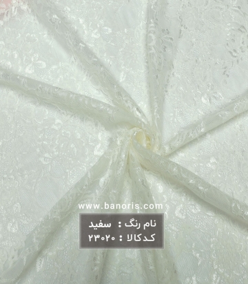 دانتل گلدار