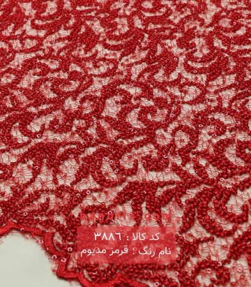 گیپور کله مورچه ای