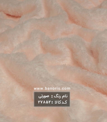 خز تدی