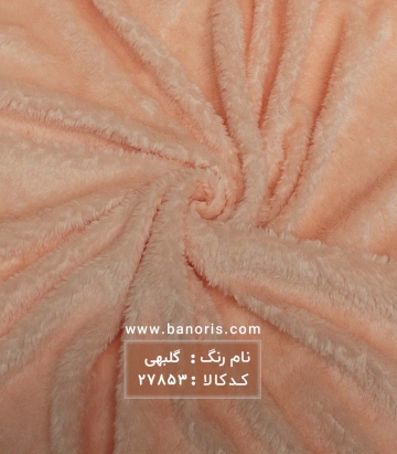 خز تدی