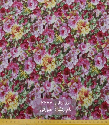 نخی(کودری)