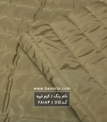 کاپشنی