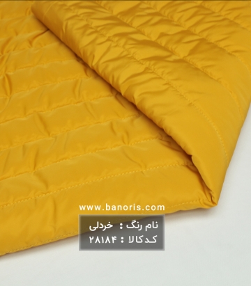 کاپشنی