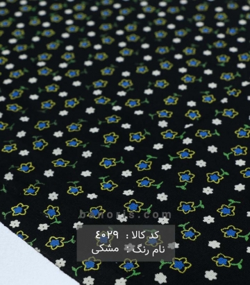 نخی (کودری)