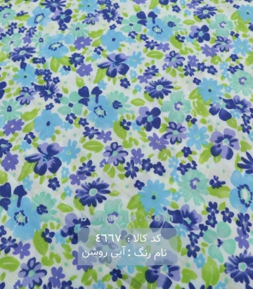 نخی (کودری)