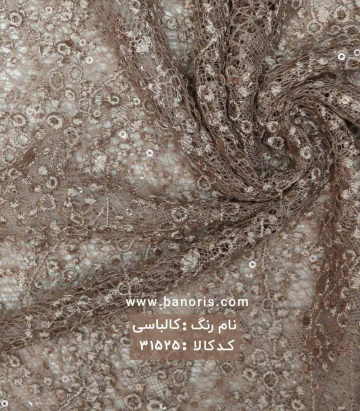 گیپور کله مورچه ای