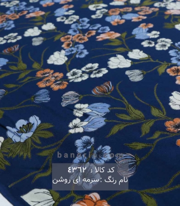نخی (کودری)