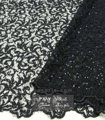 گیپور کله مورچه ای